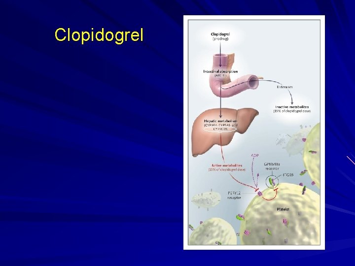 Clopidogrel 