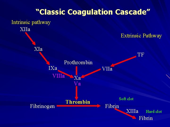 “Classic Coagulation Cascade” Intrinsic pathway XIIa Extrinsic Pathway XIa TF Prothrombin IXa VIIIa Fibrinogen