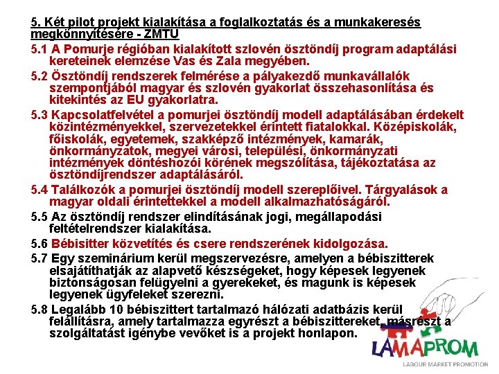 5. Két pilot projekt kialakítása a foglalkoztatás és a munkakeresés megkönnyítésére - ZMTÜ 5.