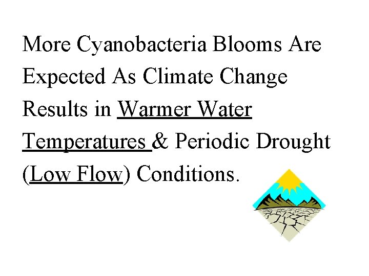 More Cyanobacteria Blooms Are Expected As Climate Change Results in Warmer Water Temperatures &