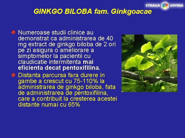 GINKGO BILOBA fam. Ginkgoacae Numeroase studii clinice au demonstrat ca administrarea de 40 mg
