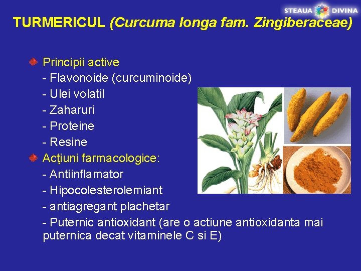 TURMERICUL (Curcuma longa fam. Zingiberaceae) Principii active - Flavonoide (curcuminoide) - Ulei volatil -