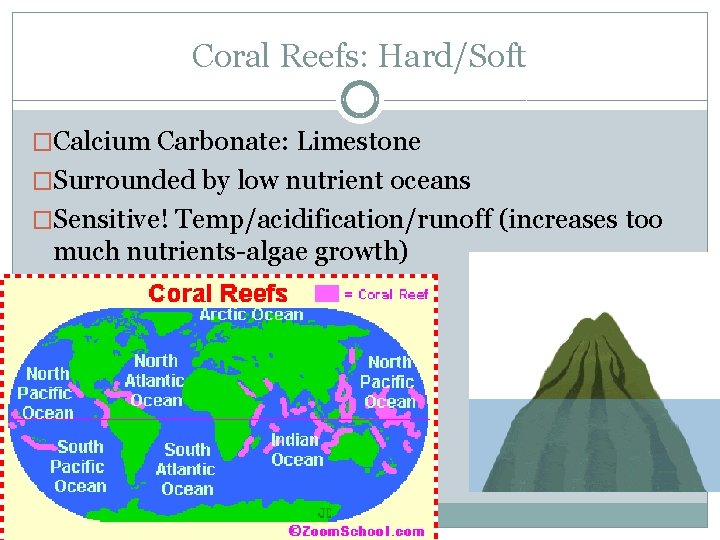 Coral Reefs: Hard/Soft �Calcium Carbonate: Limestone �Surrounded by low nutrient oceans �Sensitive! Temp/acidification/runoff (increases