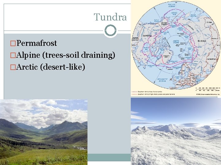 Tundra �Permafrost �Alpine (trees-soil draining) �Arctic (desert-like) 