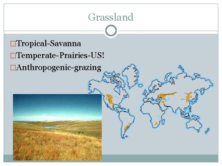 Grassland �Tropical-Savanna �Temperate-Prairies-US! �Anthropogenic-grazing 