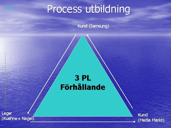 MLH Process utbildning Kund (Samsung) 3 PL Förhållande Lager (Kuehne+ Nagel) Kund (Media Markt)