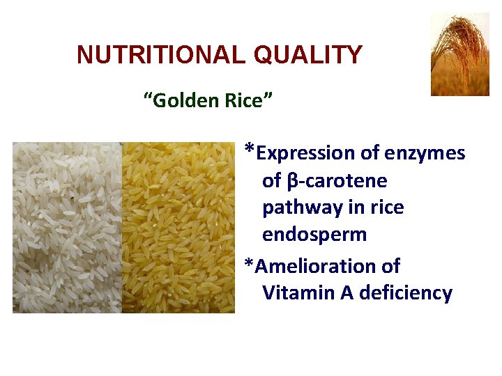 NUTRITIONAL QUALITY “Golden Rice” *Expression of enzymes of β-carotene pathway in rice endosperm *Amelioration