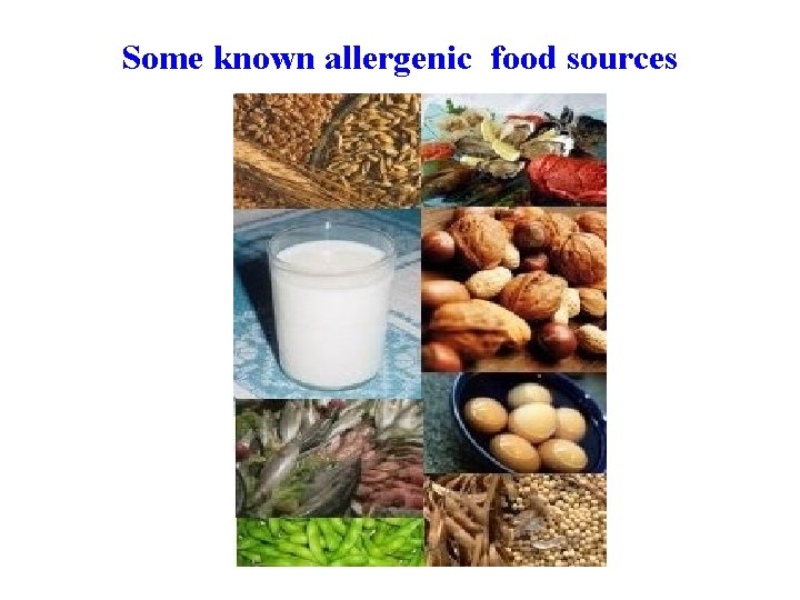 Some known allergenic food sources 