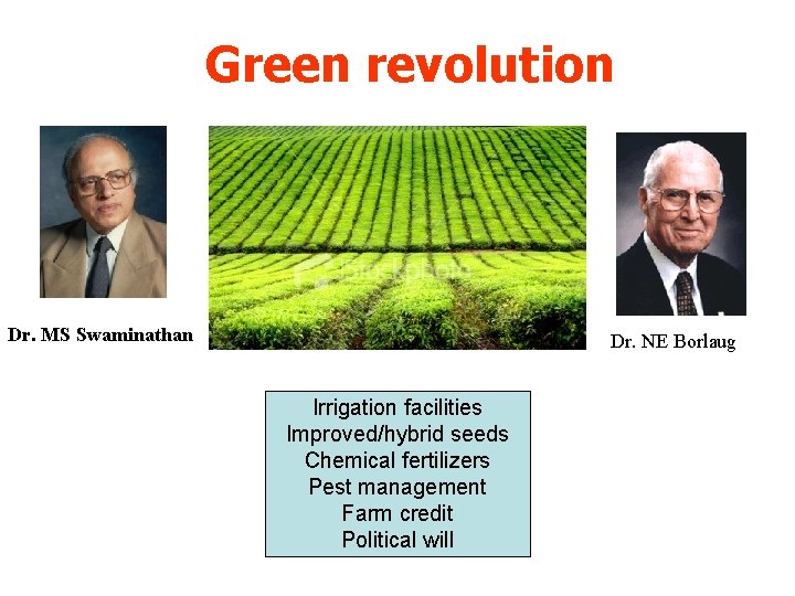 Green revolution Dr. MS Swaminathan Dr. NE Borlaug Irrigation facilities Improved/hybrid seeds Chemical fertilizers