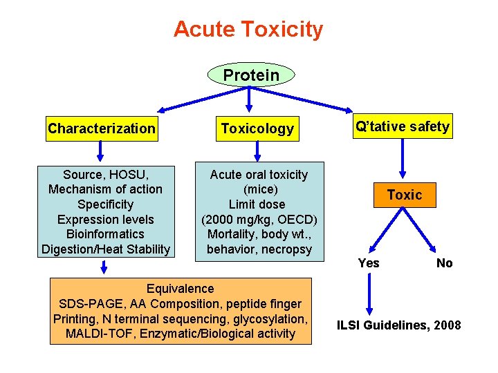 Acute Toxicity Protein Characterization Source, HOSU, Mechanism of action Specificity Expression levels Bioinformatics Digestion/Heat