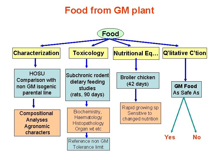 Food from GM plant Food Characterization Toxicology HOSU Comparison with non GM isogenic parental