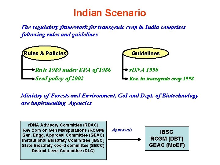 Indian Scenario The regulatory framework for transgenic crop in India comprises following rules and