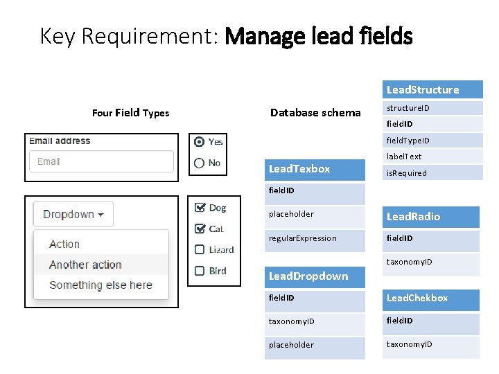 Key Requirement: Manage lead fields Lead. Structure Four Field Types Database schema structure. ID