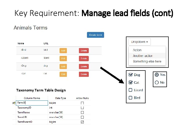 Key Requirement: Manage lead fields (cont) Taxonomy Term Table Design 