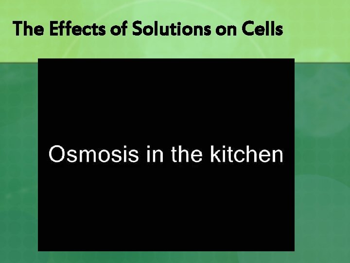 The Effects of Solutions on Cells 