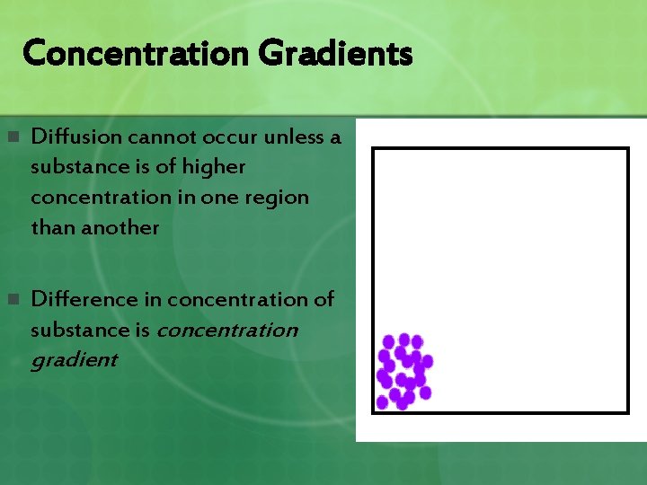 Concentration Gradients n Diffusion cannot occur unless a substance is of higher concentration in