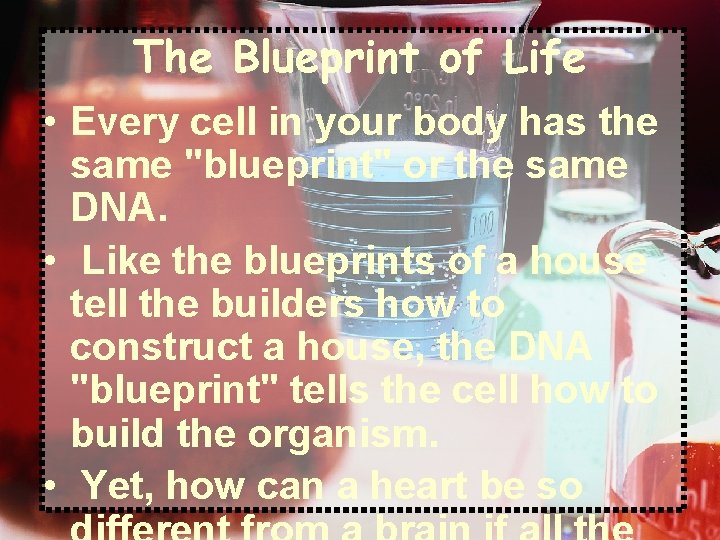 The Blueprint of Life • Every cell in your body has the same "blueprint"
