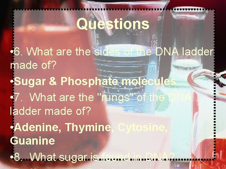 Questions • 6. What are the sides of the DNA ladder made of? •
