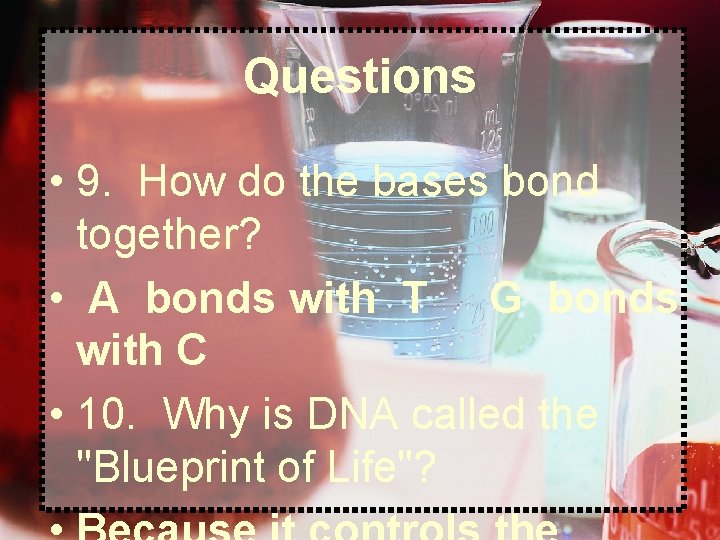 Questions • 9. How do the bases bond together? • A bonds with T