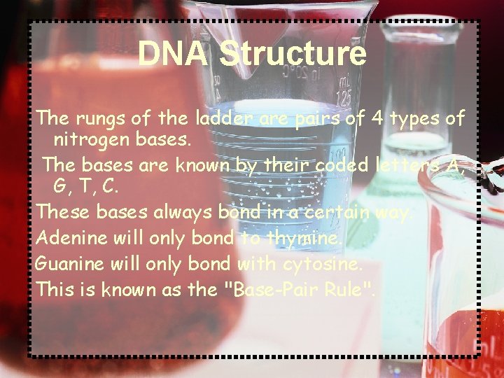 DNA Structure The rungs of the ladder are pairs of 4 types of nitrogen