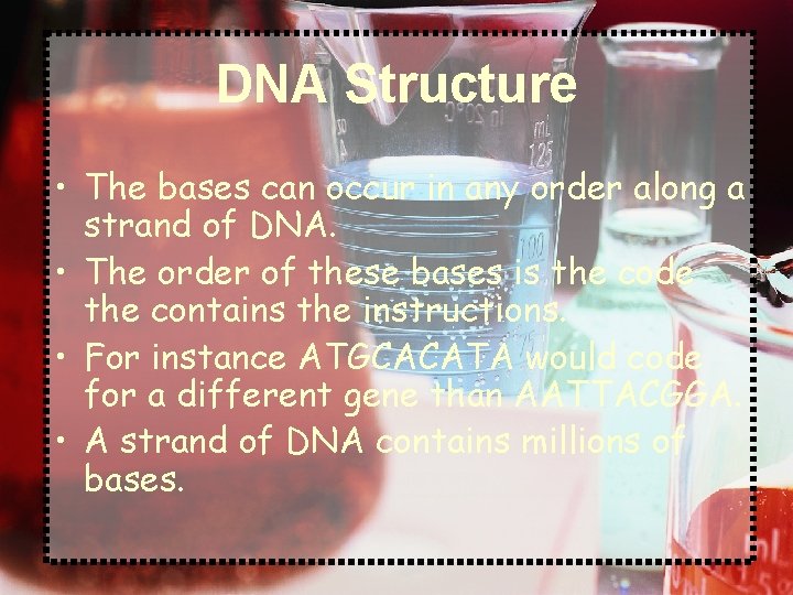 DNA Structure • The bases can occur in any order along a strand of