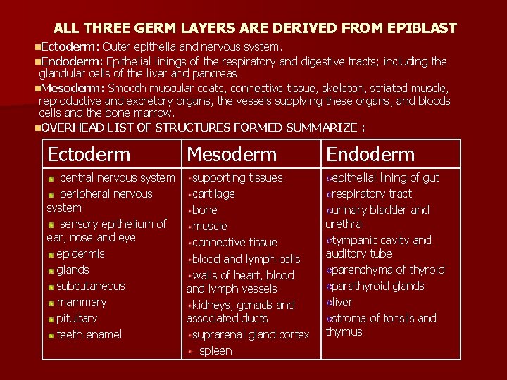 ALL THREE GERM LAYERS ARE DERIVED FROM EPIBLAST n. Ectoderm: Outer epithelia and nervous
