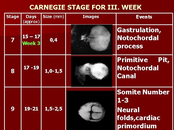 CARNEGIE STAGE FOR III. WEEK Stage 7 8 9 Days Size (mm) (approx) 15