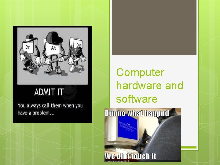 Computer hardware and software 
