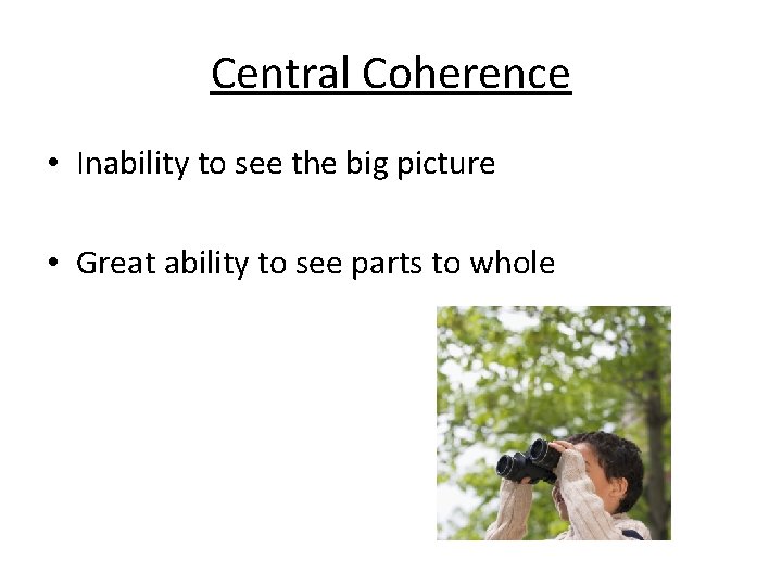 Central Coherence • Inability to see the big picture • Great ability to see