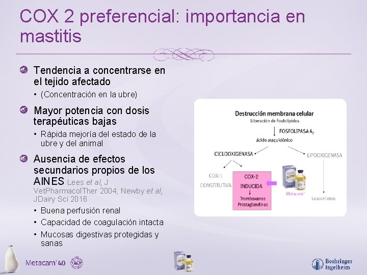 COX 2 preferencial: importancia en mastitis Tendencia a concentrarse en el tejido afectado •