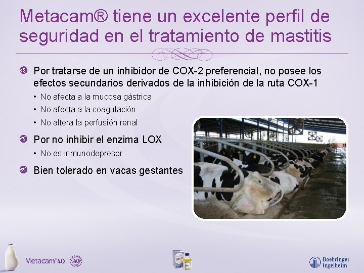 Metacam® tiene un excelente perfil de seguridad en el tratamiento de mastitis Por tratarse