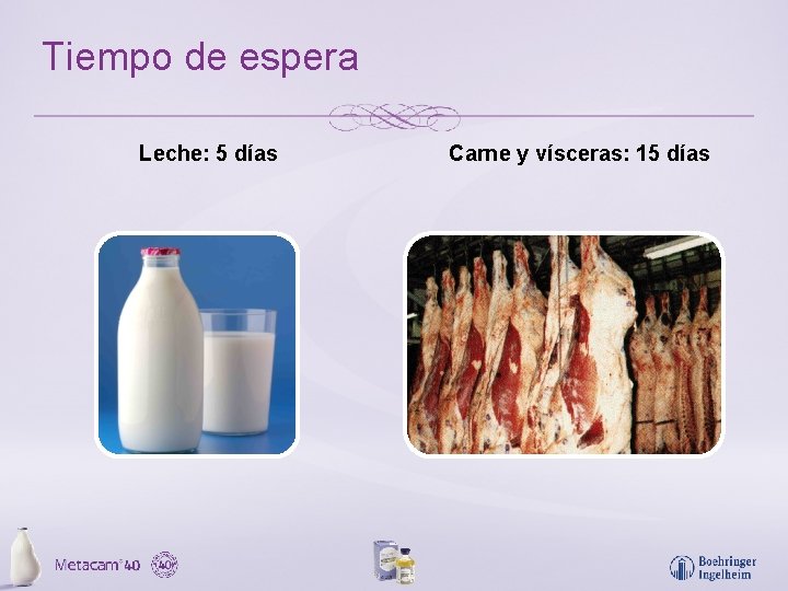 Tiempo de espera Leche: 5 días Carne y vísceras: 15 días 