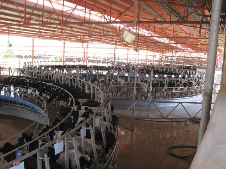 Foto: M. Cerviño 