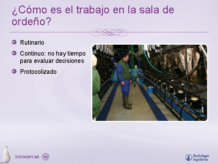 ¿Cómo es el trabajo en la sala de ordeño? Rutinario Continuo: no hay tiempo