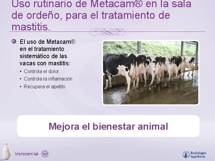 Uso rutinario de Metacam® en la sala de ordeño, para el tratamiento de mastitis.