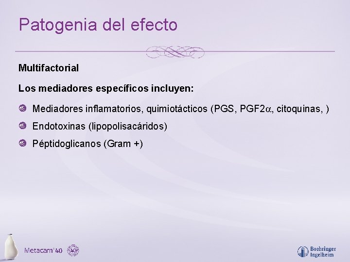 Patogenia del efecto Multifactorial Los mediadores específicos incluyen: Mediadores inflamatorios, quimiotácticos (PGS, PGF 2