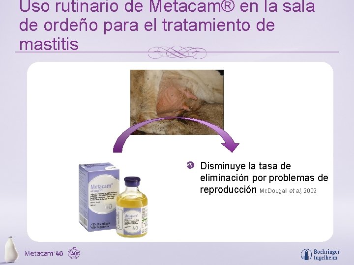 Uso rutinario de Metacam® en la sala de ordeño para el tratamiento de mastitis