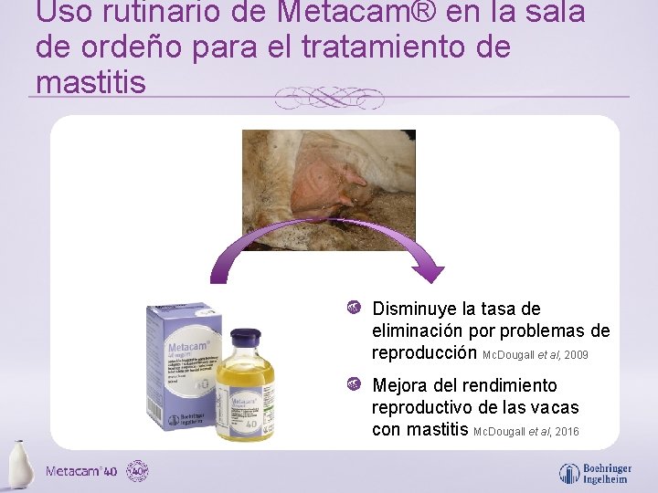 Uso rutinario de Metacam® en la sala de ordeño para el tratamiento de mastitis
