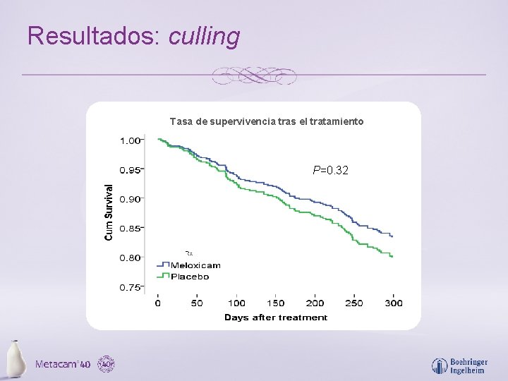 Resultados: culling Tasa de supervivencia tras el tratamiento P=0. 32 