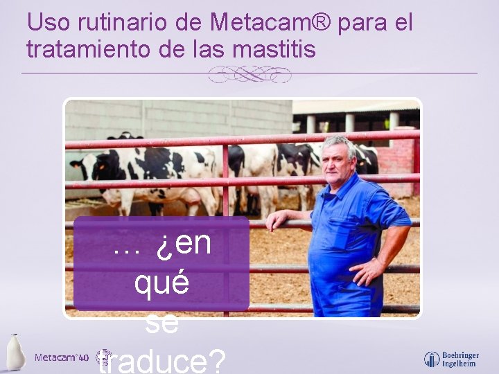 Uso rutinario de Metacam® para el tratamiento de las mastitis … ¿en qué se