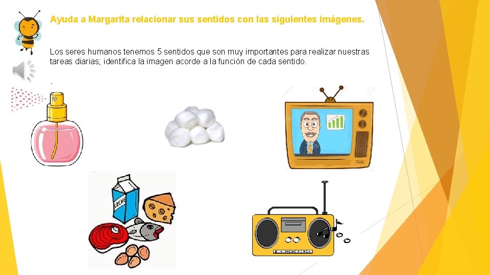 Ayuda a Margarita relacionar sus sentidos con las siguientes imágenes. Los seres humanos tenemos