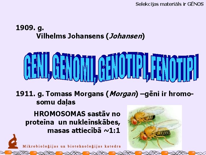 Selekcijas materiāls ir GĒNOS 1909. g. Vilhelms Johansens (Johansen) 1911. g. Tomass Morgans (Morgan)