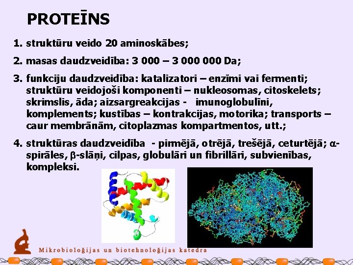 PROTEĪNS 1. struktūru veido 20 aminoskābes; 2. masas daudzveidība: 3 000 – 3 000