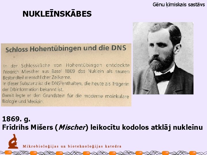 Gēnu ķīmiskais sastāvs NUKLEĪNSKĀBES 1869. g. Frīdrihs Mišers (Mischer) leikocītu kodolos atklāj nukleīnu 