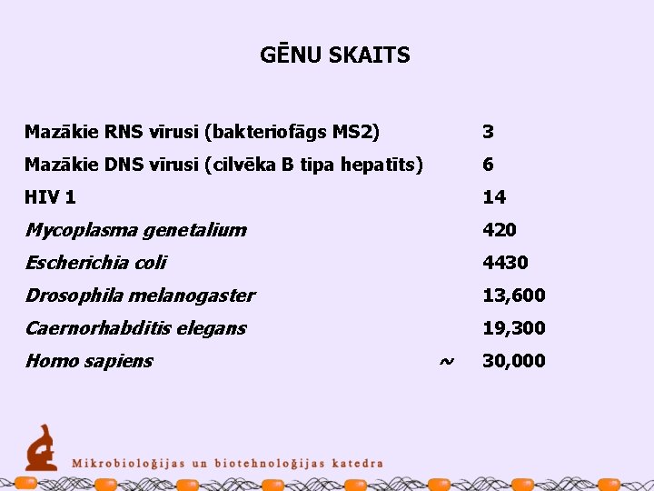 GĒNU SKAITS Mazākie RNS vīrusi (bakteriofāgs MS 2) 3 Mazākie DNS vīrusi (cilvēka B