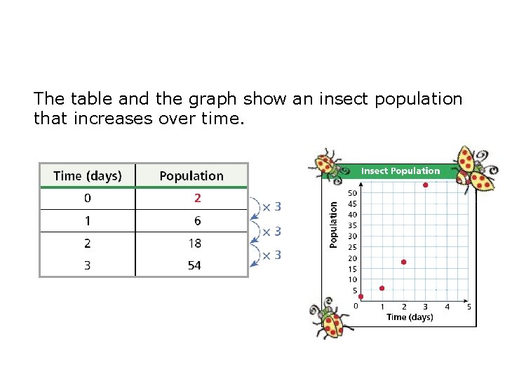 The table and the graph show an insect population that increases over time. 