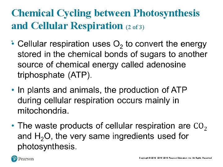 Chemical Cycling between Photosynthesis and Cellular Respiration (2 of 3) • Copyright © 2019,