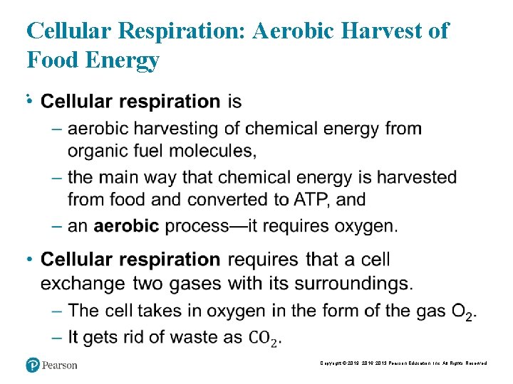 Cellular Respiration: Aerobic Harvest of Food Energy • Copyright © 2019, 2016, 2013 Pearson