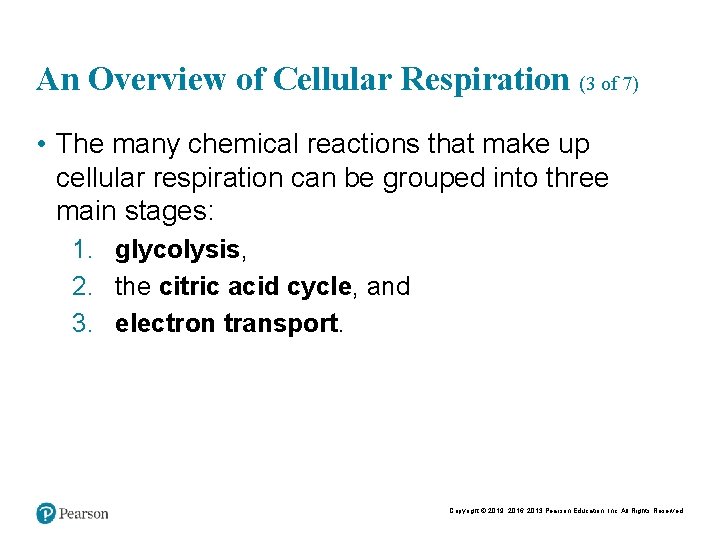 An Overview of Cellular Respiration (3 of 7) • The many chemical reactions that