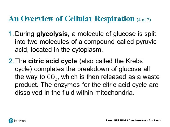 An Overview of Cellular Respiration (4 of 7) • Copyright © 2019, 2016, 2013